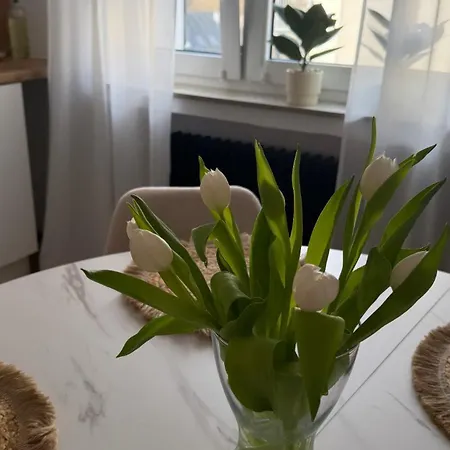 Apartment R Winterberg