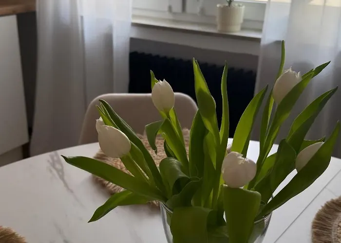 Apartment R Winterberg